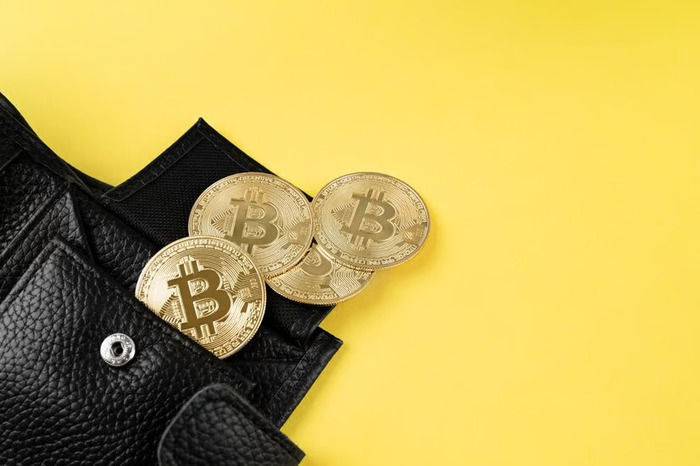 4 Keunggulan Dompet Crypto Indonesia untuk Kelola Aset Digital
