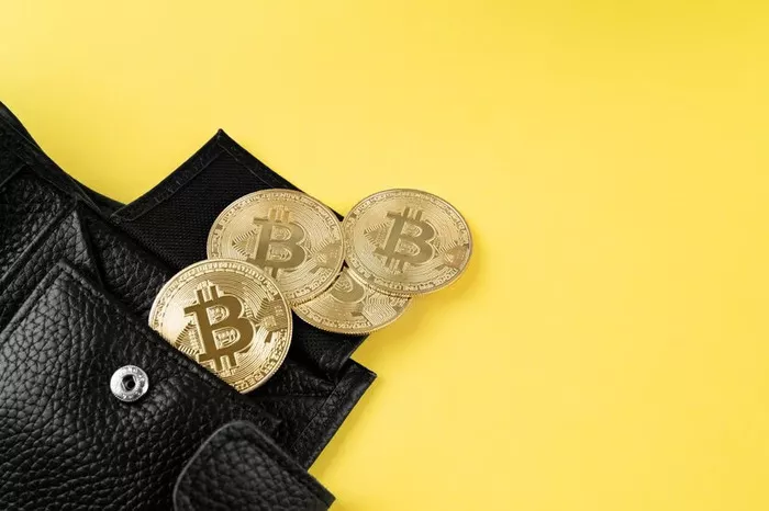 4 Keunggulan Dompet Crypto Indonesia untuk Kelola Aset Digital