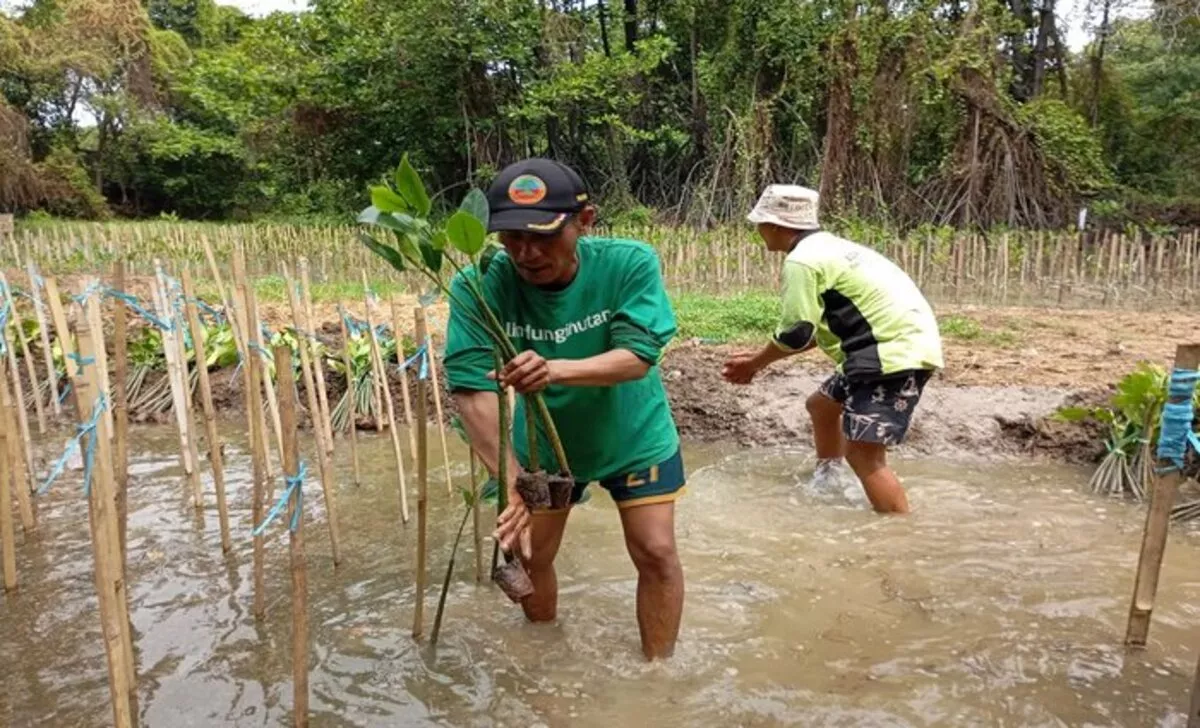 LindungiHutan: Tanam 978.000 Pohon untuk Masa Depan Berkelanjutan