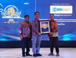 BRI-MI Sabet Penghargaan Indonesia Best Digital Awards 2025