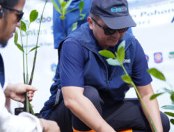 WIKA Beton Dukung Dekarbonisasi dengan Penanaman Mangrove di HSN 2025