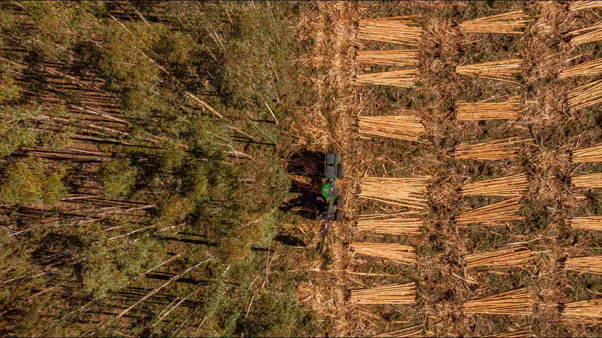 KOLTIVA Dorong Kepatuhan Regulasi Anti Deforestasi di Sektor Pertanian