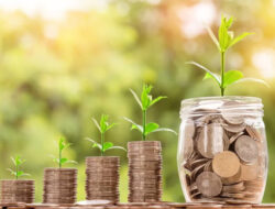 Menghitung ROI dan Strategi Meningkatkan Keuntungan Bisnis