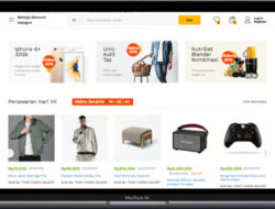 Panduan Sukses Membangun Website Toko Online
