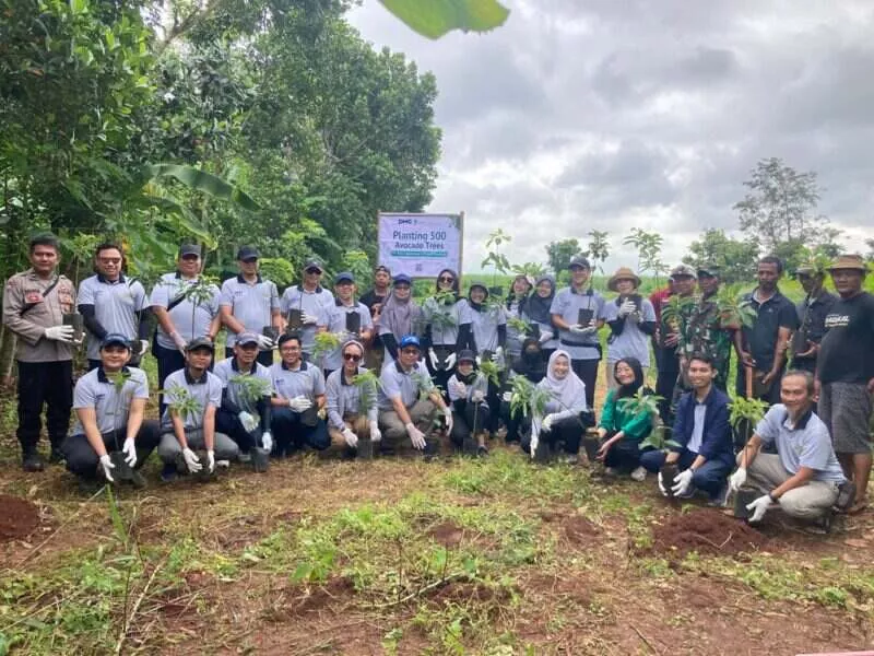 PT PHC Indonesia Tanam 500 Pohon Alpukat di Subang