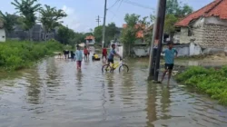 Banjir Rob Genangi 75 Rumah di Sampang