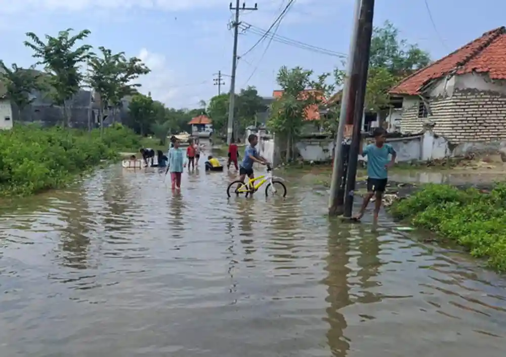 Banjir Rob Genangi 75 Rumah di Sampang