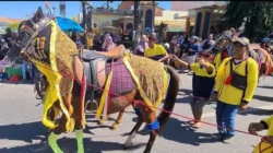 Festival Jaran Serek 2025 Meriah, Ribuan Warga Sumenep Rayakan Budaya Madura