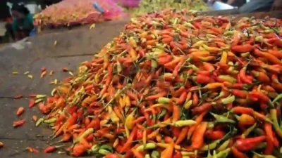 Harga Cabai di Sumenep Fluktuatif Merah Besar Naik, Rawit Anjlok