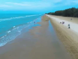 Pantai Lombang, Surga Cemara Udang di Ujung Madura