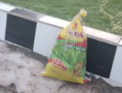 Penemuan 8 Bungkus Sabu di Gerbang Koramil Masalembu Gemparkan Warga