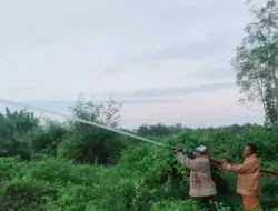 Pemkab Pamekasan Tetapkan Status Waspada Karhutla di Musim Kemarau