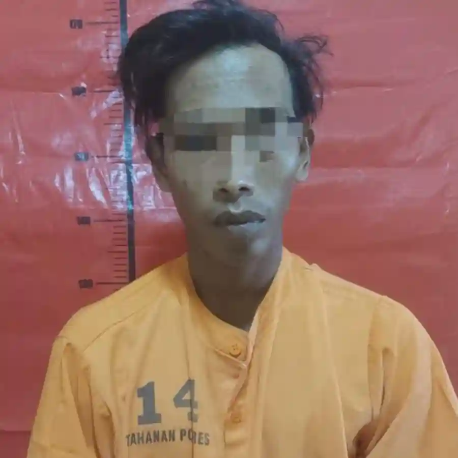 Pria di Sumenep Ditangkap Usai Cabuli Anak di Bawah Umur