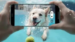 Mengapa Memilih Smartphone dengan Tombol Kamera AI?