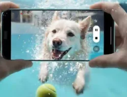 Mengapa Memilih Smartphone dengan Tombol Kamera AI?