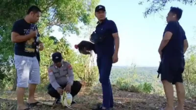 Polisi Gerebek Arena Judi Sabung Ayam di Sampang, Pelaku Kabur Tinggalkan Ayam Luka