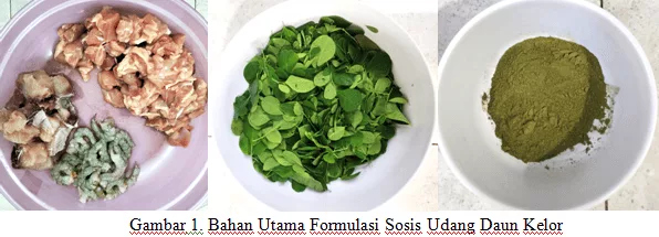 Pencegahan KEK Ibu Hamil, Tim Pengabdian Masyarakat UNAIR Lakukan Uji Coba Formulasi Produk Inovasi