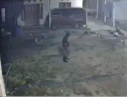 Viral! Pencurian Pakaian Dalam Hebohkan Warga Sampang, Aksinya Terekam CCTV