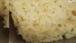 Makanan Bergizi Gratis untuk Siswa SD di Bangkalan Ditemukan Berulat, Wabup Langsung Turun Tangan