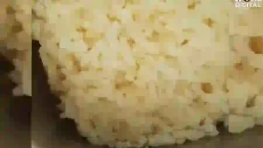 Makanan Bergizi Gratis untuk Siswa SD di Bangkalan Ditemukan Berulat, Wabup Langsung Turun Tangan