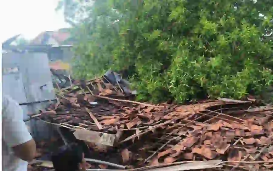 Angin Kencang Terjang Palengaan, Pamekasan, 6 Warga Luka & Puluhan Rumah Rusak