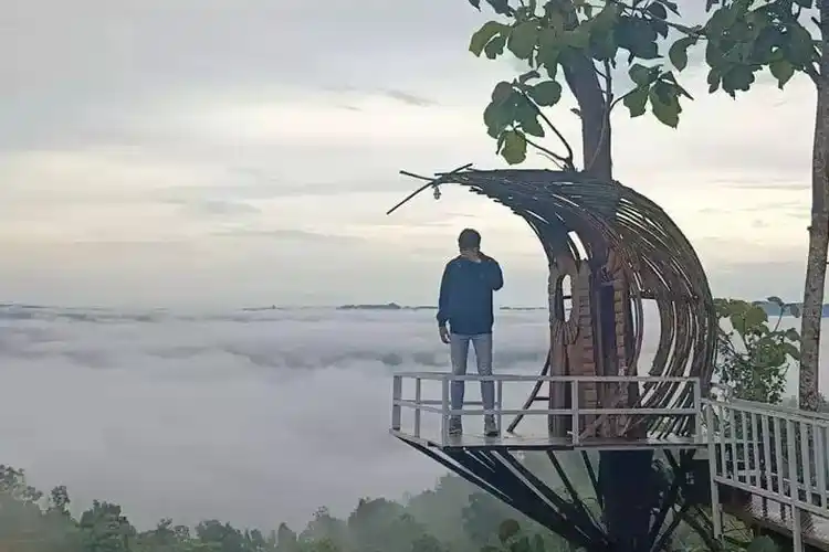 7 Destinasi Wisata di Pamekasan yang Wajib Dikunjungi di 2025 – Alam, Budaya, dan Durian Segar!