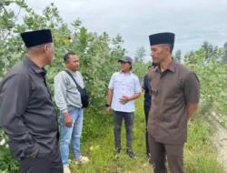 Sidak Tambak Udang di Sumenep Ungkap Limbah Dibuang Langsung ke Laut, IPAL Hanya Pajangan