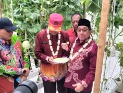 Smart Farming Sumenep Tembus Indomaret, Pertanian Modern Mulai Nyata!