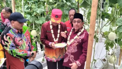 Smart Farming Sumenep Tembus Indomaret, Pertanian Modern Mulai Nyata!