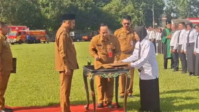 1.062 PPPK Paruh Waktu Nakes Sumenep Belum Terima Gaji Sejak Desember 2025, Aliansi Desak Kejelasan Pemkab