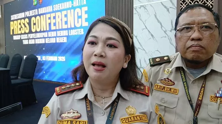 Waspada Virus Nipah! Bandara Soetta Blokir Total Kelelawar dan Babi dari India