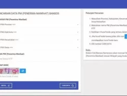Cair Serentak, Kemensos Imbau Masyarakat Cek Status Penerima Bansos BPNT dan PKH Tahap I Lewat HP