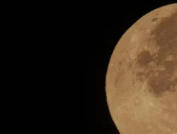Fenomena Pink Moon dan Hujan Meteor Lyrids Sapa Langit April 2026, Catat Jadwalnya!