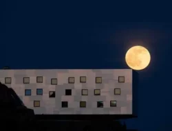 Jangan Lewatkan! Fenomena Langka Pink Moon Hiasi Langit Indonesia 2 April 2026, Ini Jadwalnya