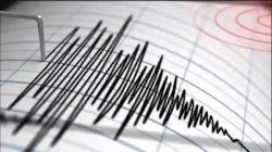Ntt Diguncang Gempa M 4,7 Dini Hari Tadi, Bmkg: Pusat Getaran Berada Di Borong - Portalmadura.com NTT Diguncang Gempa M 4,7 Dini Hari Tadi, BMKG: Pusat Getaran Berada di Borong