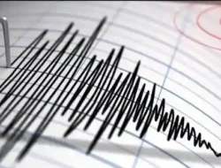 NTT Diguncang Gempa M 4,7 Dini Hari Tadi, BMKG: Pusat Getaran Berada di Borong