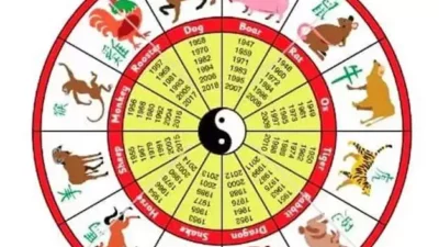 Ramalan 12 Shio 7 Maret 2026: Strategi Keuangan Kelinci & Titik Balik Hubungan Kerbau