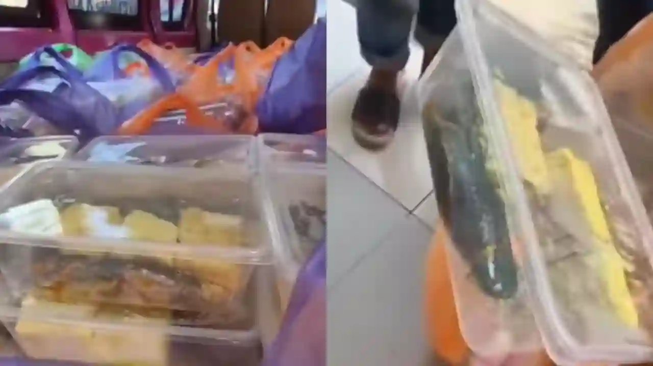 SMAN 2 Pamekasan Tolak 1.022 Porsi Makan Bergizi Gratis, Kepsek: Lele Mentah dan Tak Layak Konsumsi