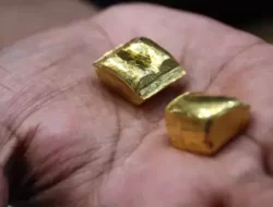 Harga emas perhiasan hari ini, Senin 30 Maret 2026 terpantau stabil di Raja Emas Indonesia hingga Hartadinata. Cek daftar harga lengkapnya di sini.