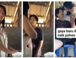 Viral Link Video Ibu Tiri vs Anak Tiri 7 Menit Part 2 di Dapur, Waspada Phishing dan Malware!