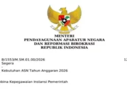 CPNS 2026 Segera Dibuka! Surat MenPAN-RB Terbit, Kuota 160 Ribu Formasi Jadi Prioritas