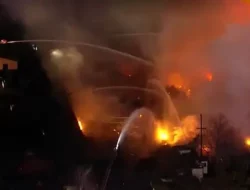 California Membara! Kebakaran Springs Fire Paksa Evakuasi Massal Ribuan Warga