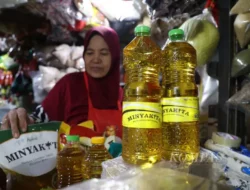 Gila! Harga Minyak Goreng Tembus Rp60 Ribu, BPS Ungkap Biaya Kemasan Jadi Biang Kerok!