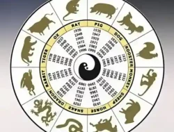 Ramalan Zodiak & Shio Rabu 29 April 2026: Siapa yang Beruntung Hari Ini?