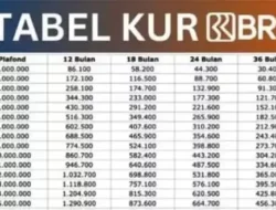 UMKM Wajib Tahu! Tabel KUR BRI 2026 Terbaru: Bunga Rendah 6%, Plafon hingga Rp500 Juta
