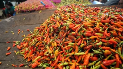 Harga Cabai Nasional Hari Ini: Rawit Merah Bertahan Tinggi, Keriting Menurun di Beberapa Wilayah