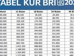 Solusi Modal Usaha 2026: Cicilan KUR BRI Rp50 Juta Hanya 900 Ribuan, Cek Syarat Lengkapnya!