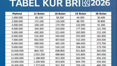Solusi Modal Usaha 2026: Cicilan KUR BRI Rp50 Juta Hanya 900 Ribuan, Cek Syarat Lengkapnya!