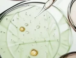 Waspada! BPOM Ungkap Bahaya Merkuri dan Steroid dalam Kosmetik, Pelaku Terancam Denda Rp5 Miliar