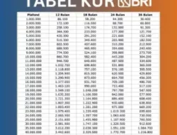 Waspada Penipuan KUR BRI 2026! Ini Jalur Resmi Pengajuan Pinjaman Tanpa Biaya dan Syarat Terbarunya